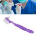 ZJchao False Teeth Cleaning Brush & Portable Denture Container - Elderly Gift for Home & Travel - Purple - Buy Online on GoSupps.com