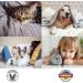 2 x 500ml Linozz Animal Odor Neutralizers | Eliminate Cat Urine & Dog Smells | Vegan Fresh Air Spray | Litter Box Deodorant - Buy Online on GoSupps.com
