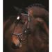 Buy Horseware Rambo Micklem Multibridle 3 in 1 - Selectable Sizes & Colors (Brown COB) - International Shipping Available - Buy Online on GoSupps.com