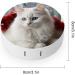Cute White Cat Contact Lens Case - Portable Travel Storage Box for Lenses - Buy Online on GoSupps.com
