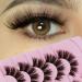 Shop Laoya Boho Cat Eye False Eyelashes | 5D Volume Wispy 17mm Strip Lashes - 5 Pairs Pack for Natural Look | Best International Shipping - Buy Online on GoSupps.com