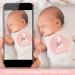 Floral Baby Monthly Stickers for Girls (Set of 24) | Newborn Milestone Month Stickers - Buy Online on GoSupps.com