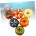 Garneck 24 Pcs Pumpkin Decor Foam Pumpkin Fake Pumpkin Halloween Pumpkin Artificial Pumpkin Party Pumpkin Thanksgiving Party Decoration Ornament Faux Pumpkin Decorate Little Pumpkin - Buy Online on GoSupps.com