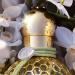 GUERLAIN Aqua Allegoria Harvest Nerolia Vetiver Eau De Toilette Spray 4.2 Ounce (Unisex) - Buy Online on GoSupps.com
