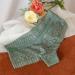Shop Copelsie Women's Cotton Cheeky Underpants - Transparent Lace No Show Breathable Low Waist Tangas in Mint Green XL - Buy Online on GoSupps.com