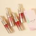 Domality 6 Colors Velvet Lipstick Set - Matte & Glitter Lip Mud Tint | High-Pigmented, Long-Lasting, Lightweight Lip Gloss Makeup Set - Buy Online on GoSupps.com