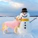 Mihachi Turtleneck Dog Sweater | Classic Cable Knit Winter Coat Apparel with Leash Hole | Ideal Gift for Pets | Large Flesh Pink - Buy Online on GoSupps.com