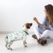 XXL Dog Surgery Recovery Suit | Soft & Breathable Body Suit for Dogs & Cats | Post-Op Onesie for Spay & Castration | International Shipping Available - Buy Online on GoSupps.com