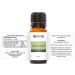 REVIVE Essential Oils LEMONGRASS 10 ml - 100% Pure Therapeutic Grade For Diffuser Humidifier Massage Aromatherapy Skin & Hair Care - Cruelty Free - Unrefined Oils With No Fillers. - Buy Online on GoSupps.com