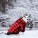 Blaoicni Plaid Dog Hoodie Sweater for Medium Dogs - Warm & Soft Coat for Cat Puppy - XL - Buy Online on GoSupps.com