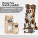 Avantis Pet Pure Grain Free Adult Dog Food for Adult Dogs of All Breeds 2 kg 100% complete and balanced food with Chicken and without cereals for dogs suffering from intolerance and - Buy Online on GoSupps.com