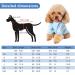 Warm Dog Clothes for Small Dogs | Chihuahua Hoodies & Sweaters | XS Light Blue Puppy Coat - Buy Online on GoSupps.com