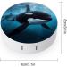 Killer Whale Print Contact Lens Case - Durable Plastic Travel Box for Lens Care - Buy Online on GoSupps.com