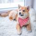 Remifa Dog Bandana 6PCS - Birthday Gift Washable Plaid Printing Bib Double Reversible Scarf Adjustable Accessories for Dogs and Cats - Buy Online on GoSupps.com