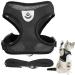 Yeesabella S Cat Harness and Lead Set Adjustable Cat Harness Escape Proof Cat Kitten Harness for Walking Breathable Cat Harness for Small Cats Pets with Leash Set
