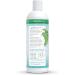 Auromere Ayurvedic Shampoo with Aloe Vera & Neem - Vegan Natural Sulfate & Paraben Free for Dry to Normal Hair - Buy Online on GoSupps.com