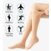 Buy 2 Pairs of Medical Compression Stockings 20-30 mmHg - Ideal for Varicose Veins & Edema - Closed Toe Support Stockings for Men & Women - L Size Beige - Buy Online on GoSupps.com