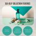 Scottish Fine Soaps - Marine Spa Sea Kelp Replenishing Shower Cream - Enriched With Soya Oil and Vitamin E - For Healthy and Rehydrated Skin - Vegan Friendly - 200ml - Buy Online on GoSupps.com