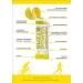 Buzz Power Natural Energy Gel | Organic Honey Carbohydrate Sports Gel with Electrolytes | Exercise & Endurance Booster (10 Pack) - Buy Online on GoSupps.com