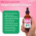 LIQUIDHEALTH Vegan Beauty Sleep Vitamin Supplement Bundle with Vegan Liquid Collagen + Biotin, Calcium Magnesium & Sleep Well Melatonin Drops for Hair/Skin/Nail Health & Relaxation - USA Made - Buy Online on GoSupps.com