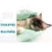XFly Pet Grooming Gloves & Nursing Shoes for Cats - Silicone Brush Hangable Design for Bathing & Massaging Dogs & Cats (Green) - Shop Now! - Buy Online on GoSupps.com
