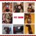 Abrrlo Christmas Dog Sweater | Cozy Winter Knitting Pet Fashion | Perfect Holiday Gift for XXL Dogs - Buy Online on GoSupps.com