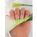 Acrylic Nail French Manicure Kit Nail Acrylic Powder Collection Set of 3 Colors -Pink Clear white Powder Builder Professional Acrylic Nail System (Peach Clear White) - Buy Online on GoSupps.com