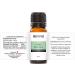 Italian Rosemary Essential Oil by Revive Essential Oils - 100% Pure Therapeutic Grade for Diffuser Humidifier Massage Aromatherapy Skin & Hair Care - Buy Online on GoSupps.com