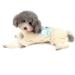 Ranphy Cotton Striped Dog Pajamas - Cute Cartoon Hoodie Jumpsuit for Small Dogs | XX Large (Back: 40cm Breast: 52cm) - Perfect Pet Overall Sleepwear - Buy Online on GoSupps.com
