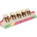 Shop Verdant Touch Tooth Model - Dental Periodontal Disease Study Tool for Schools | International Shipping Available - Buy Online on GoSupps.com