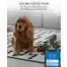 YI Dog Camera with Phone App  WiFi Indoor Cam with 2-Way Audio  Night Vision  360-degree  Sound Motion Detection  Cat Pet Puppy Bird Animal Doggie Nanny Cam  Compatible with Alexa and Google - Buy Online on GoSupps.com