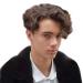 STfantasy Men Wigs Male Type Layered Wavy Fluffy Cosplay Party (Light Brown)