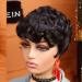 Enjeein Short Curly Pixie Wig for Black Women - Synthetic Layered Pixie Cut in Color 1B - Buy Online on GoSupps.com
