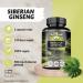 APOLLO'S HEGEMONY Siberian Ginseng 500 mg - 120 Vegan Capsules - 4 Month Extract Standarized to 0 8% eleutherosides B + E - Dietary Supplement - Buy Online on GoSupps.com