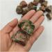 Feng Shui Decorate 1pc Natural Rough Gemstone Specimen Crystal Reiki Loose Irregular Shaped Raw Ward Off Evil Spirits Classical Raw Rough Natural Lucky Jewelry Stone Possesses Piedras decorati ERTEYIN 1pc 20-40mm Random - Buy Online on GoSupps.com