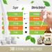 Stevia Select Coconut Pure Stevia Extract - Liquid Zero Calorie Sweetener - All Natural Liquid Stevia Extract Sweetener Liquid - Keto Sugar Stevia Liquid - Keto Sweetener & Sugar Alternative 2 Oz Coconut 60 ml (Pack of 1) - Buy Online on GoSupps.com