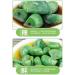 Laba Garlic 250/500g Shandong specialty authentic emerald green garlic green garlic sugar garlic sweet and sour garlic delicious snacks Vegetables and fruits (500g 3bags) 500g 3bags - Buy Online on GoSupps.com