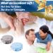 Denture Case Kit - 2 Pack No-Leak Denture Bath Box with Strainer & Mirror - Grey & Blue - Buy Online on GoSupps.com