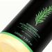 Shampoo For Women 100ml Thickening and Smoothing Hair Care Products AntiFlizz Volume Moisturizing Shampoo for Damaged Dry Oily Fine Curly Hair Women and Men Daily Use - Buy Online on GoSupps.com