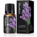 Pure Organic Rose and Lavender Essential Oil - 2 x 10ml for Diffusers Massage Aromatherapy Skin Care - Buy Online on GoSupps.com