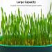 3pcs Cat Grass Planter Soilless Culture Cat Grass Planting Container Catnip Cat Grass Box Cat Grass Growing Kit Cat Grass Sprouting Trays for Indoor(size:3pcs) - Buy Online on GoSupps.com