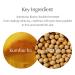 Oniro Kombucha Peptide Radiance Serum | Glycine Soja (Soybean) Peptide Collagen Extract Panthenol | Serum for a firm glow that won't crumble | Korean Skin Care | 1.01 Fl Oz - Buy Online on GoSupps.com