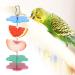 Fruit Holder for Parrots - Spit Fruit & Vegetable Skewers for Birds | Ideal for Budgies Nymphs & More - Buy Online on GoSupps.com
