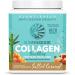 Sunwarrior Collagen Building Protein Peptides with Hyaluronic Acid and Biotin Salted Caramel 17.6 oz (500 g) - Buy Online on GoSupps.com
