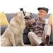 Balacoo 8 Pcs Pet Graduation Cap Bunny Costume Pet Grad Costume Mini Rabbit Graduation Cap Clothing Props 5.5X5.5X3.5CMx2pcs As Shownx2pcs - Buy Online on GoSupps.com