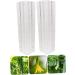 BCOATH 2pcs Vegetable Shaping Fruit Vegetable Forming Mould Kit Watermelon Picking Garden - Buy Online on GoSupps.com