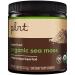 Organic Sea Moss Powder a" Marine Algae Superfood (4 oz./30 Servings)