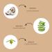 Beard Conditioner - Cedar Forest - Sulfate Free Biotin & Natural Oils - Gentle Deep Cleanse & Strengthening 8 fl. oz - Buy Online on GoSupps.com