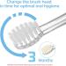 Baby Toothbrush Replacement Heads for Dada Tech Seago Brush-Baby & BabySmile | Compatible for 18-36 Months - Buy Online on GoSupps.com