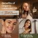 Gya Labs Organic Lavender Essential Oil 10ml - Aromatherapy for Relaxation, Skin and Hair - 100% Pure, Natural & Organic - Pack of 1 - Buy Online on GoSupps.com